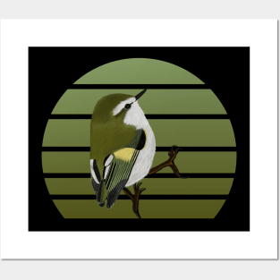 jz.birds Rifleman Bird Animal Art Posters and Art